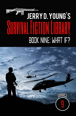 Post-Apocalyptic Fiction ebook What If? by Jerry D. Young