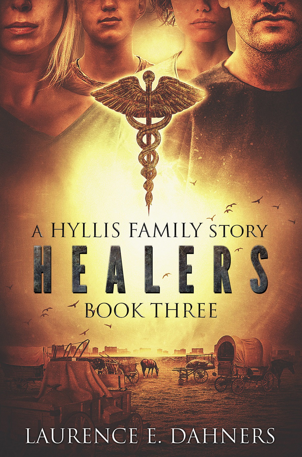 A Hyllis Family Story Book 3 Healers by Laurence E. Dahners