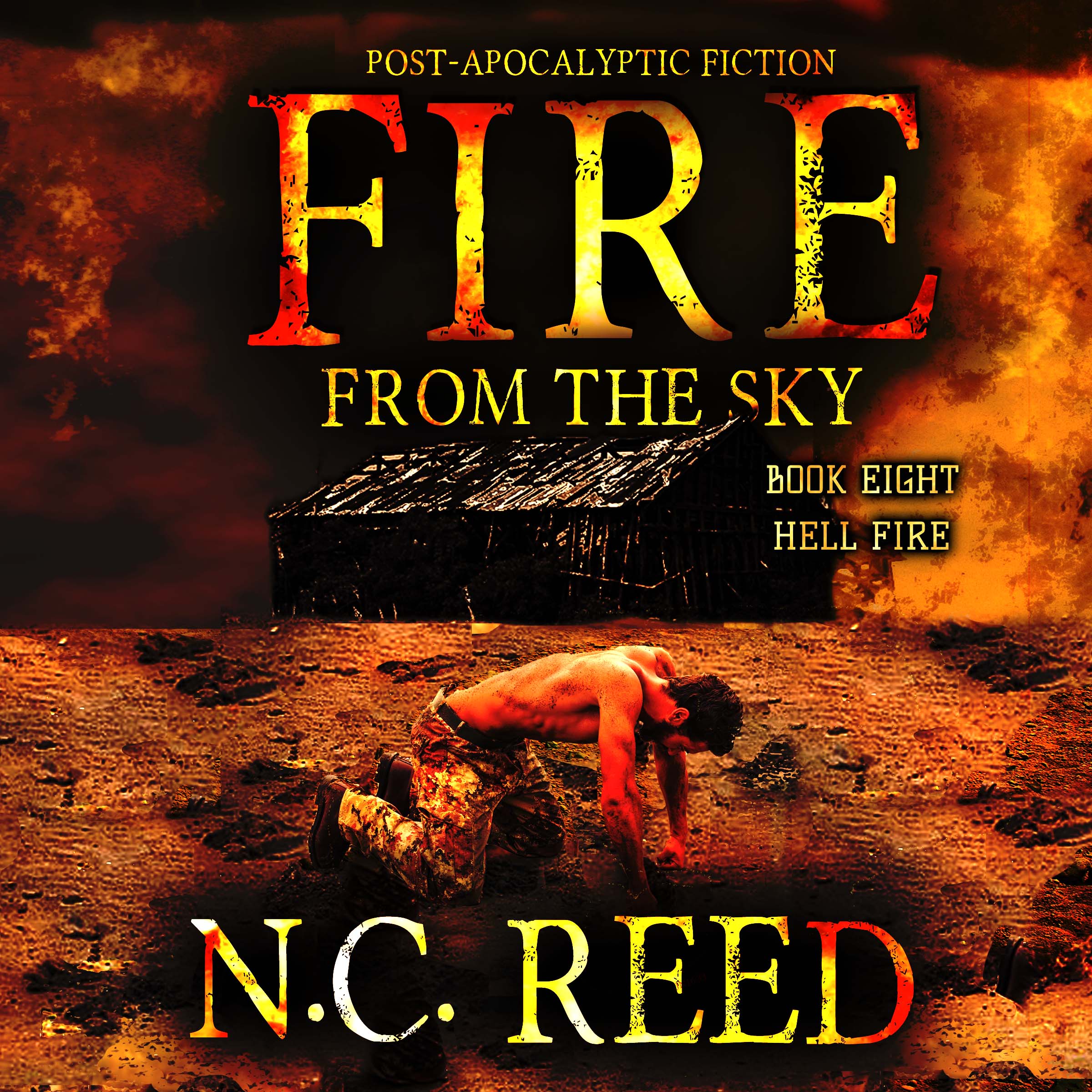 Fire From the Sky Hell Fire Audiobook N.C. Reed