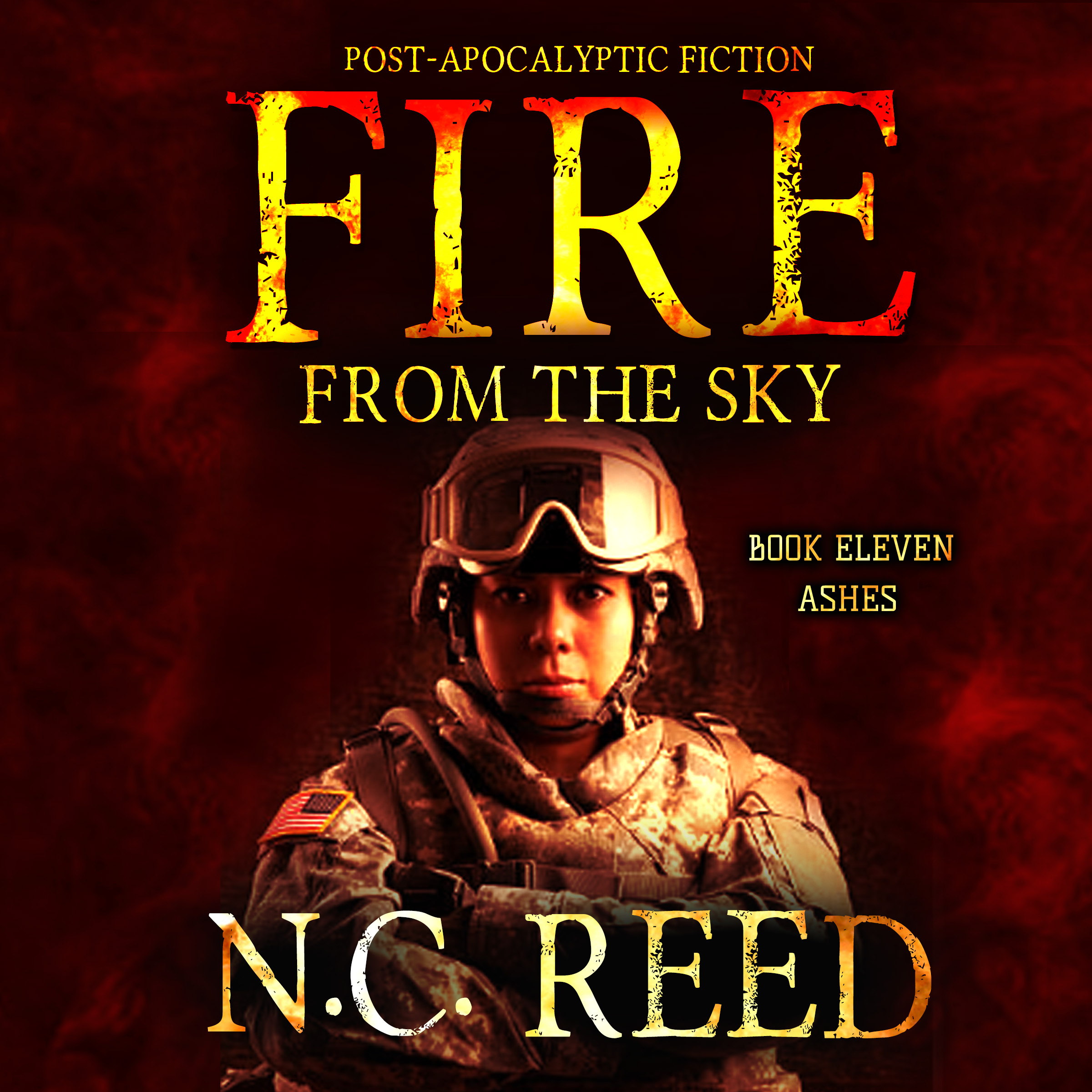 Fire From the Sky Book 11 Audiobook by N.C. Reed