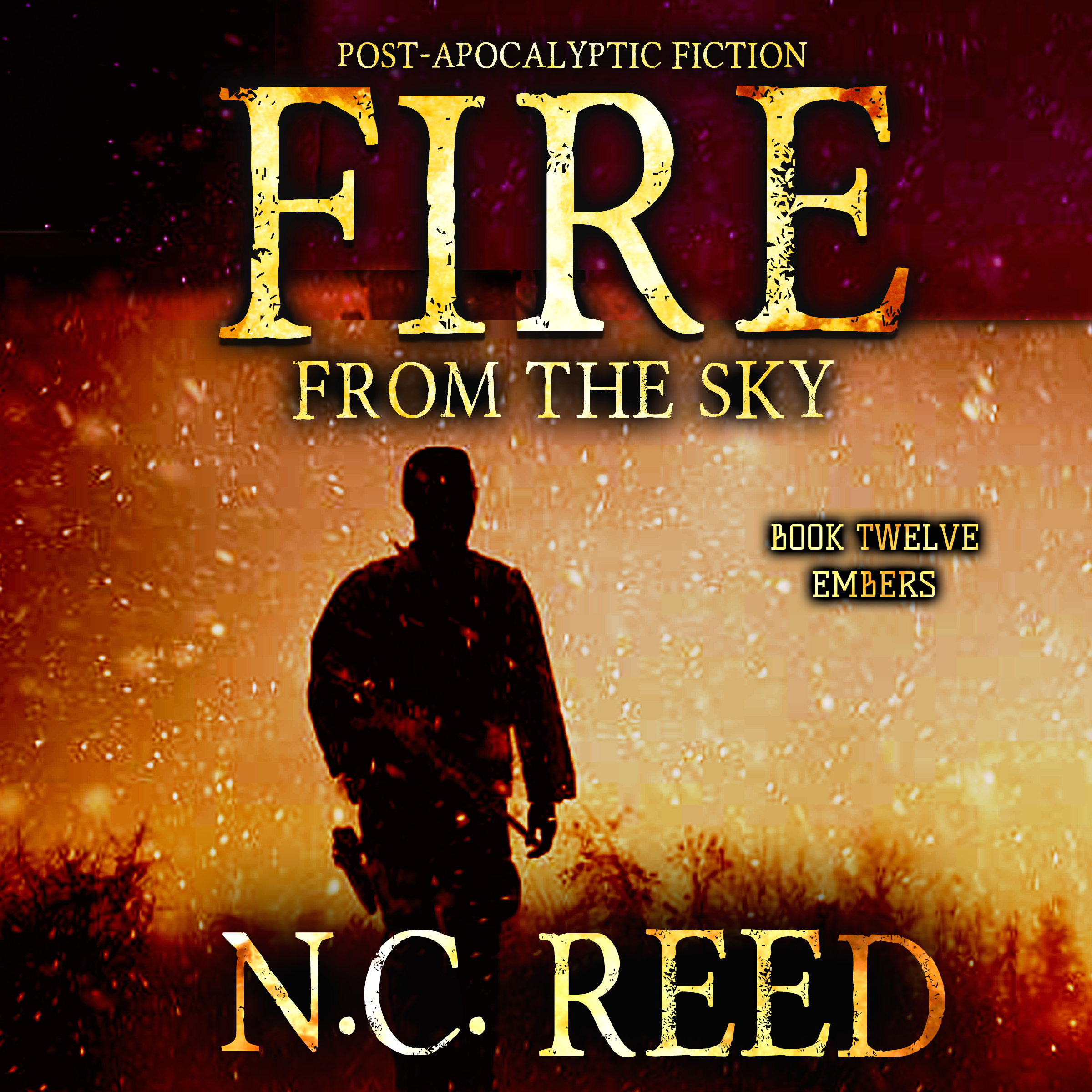 Fire From the Sky Book 12 by N.C. Reed Audiobook narrated by Lee Alan