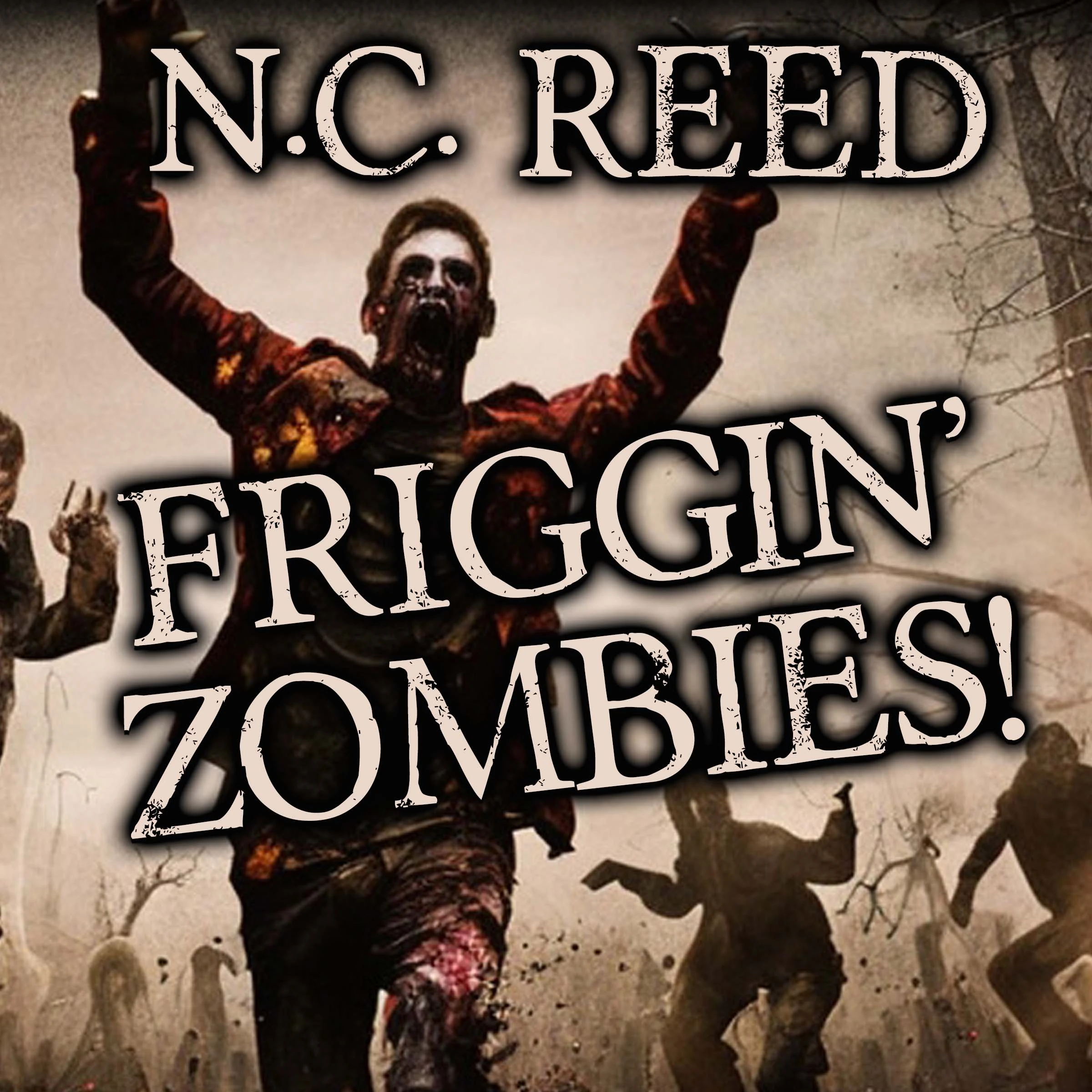 audiobook by N.C. Reed and Christopher Lane Friggin Zombies