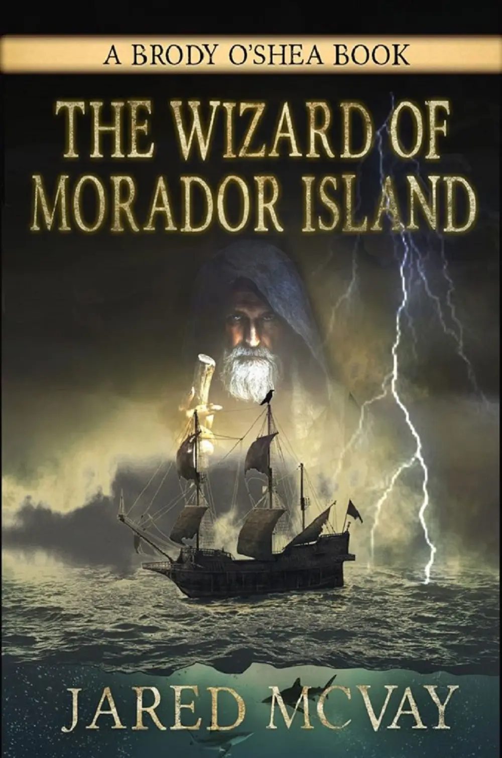 The Wizard of Morador Island juvenile fiction eBook by Jared McVay