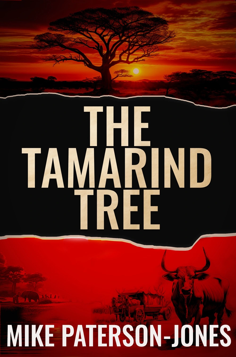 African Historical Fiction The Tamarind Tree Novel